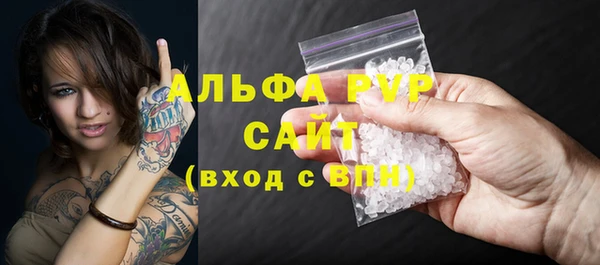бошки Гусев