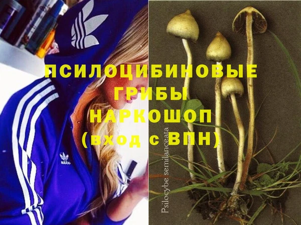 бошки Гусев