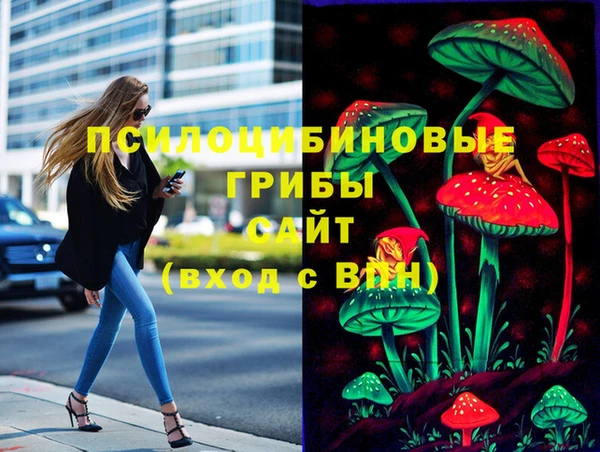 метадон Гусь-Хрустальный