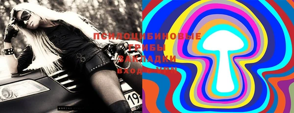 бошки Гусев