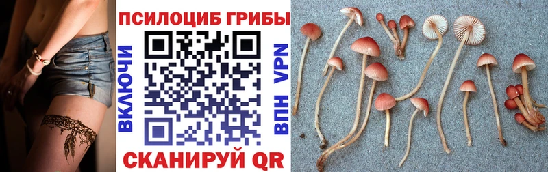 закладка  Тольятти  Псилоцибиновые грибы ЛСД 